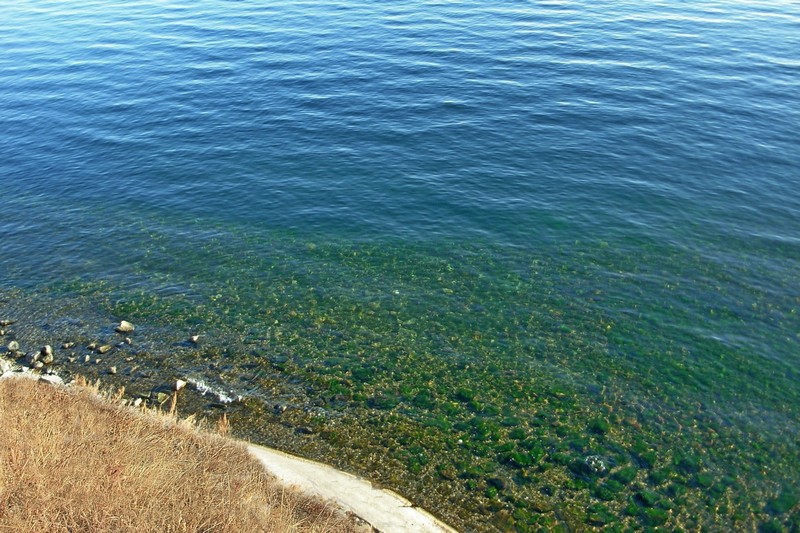 ����-�����. ��� ������� ������