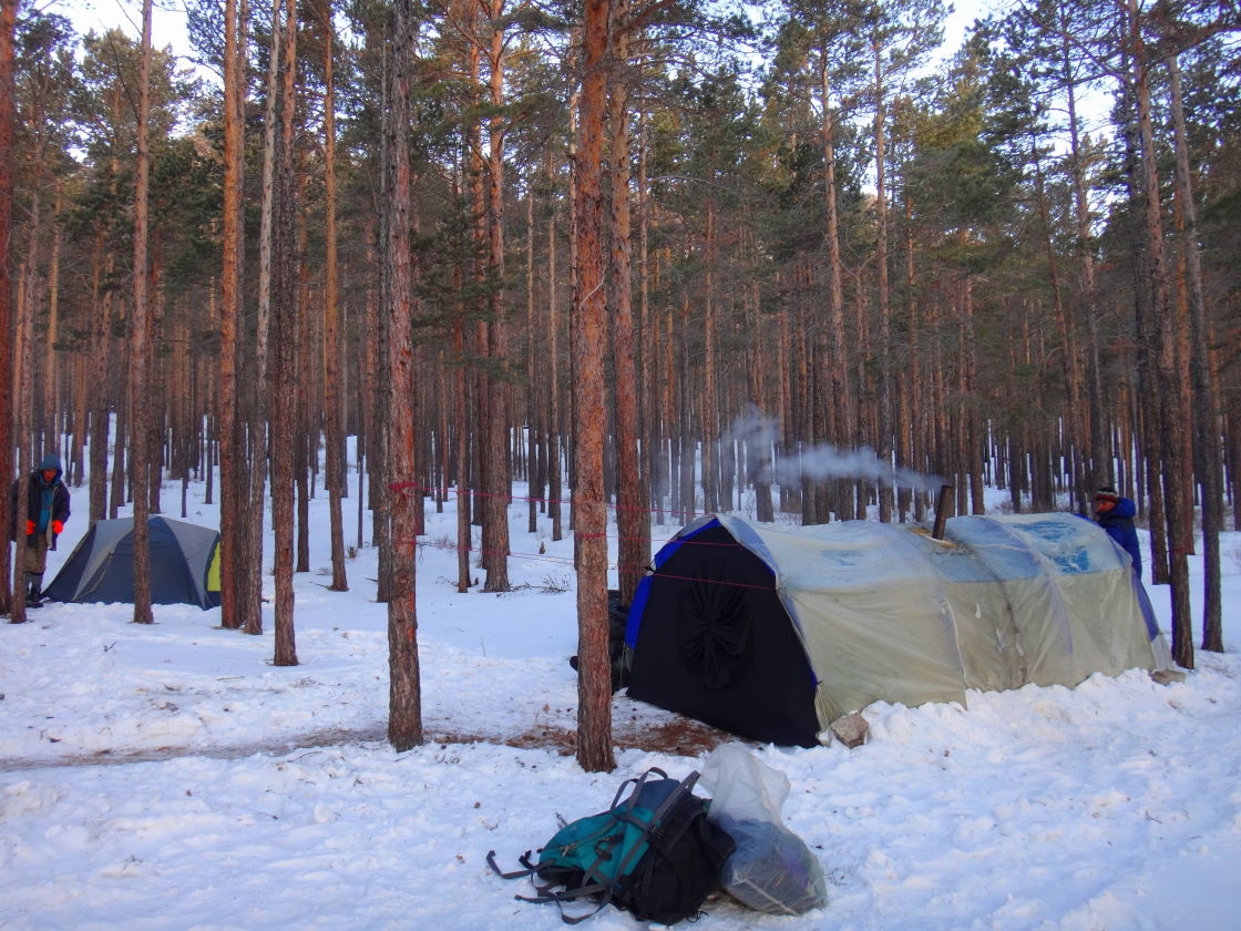 ���� ������