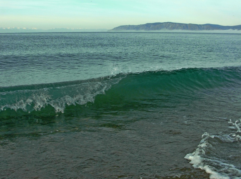 ����������� �����