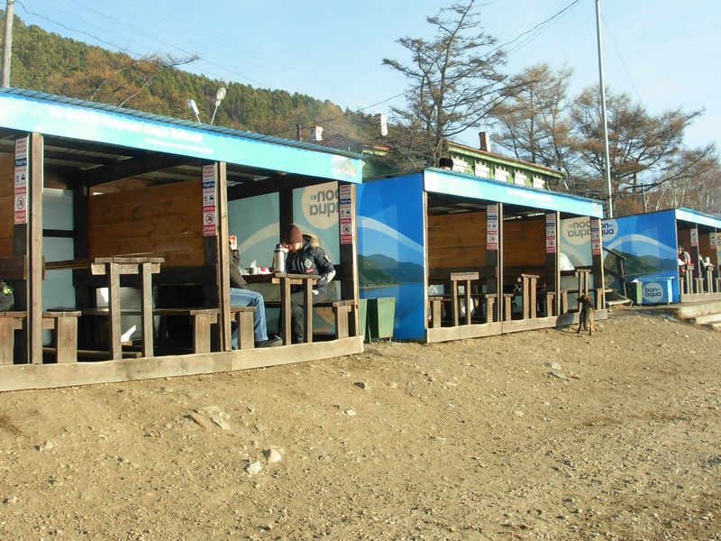 ���� � ���������