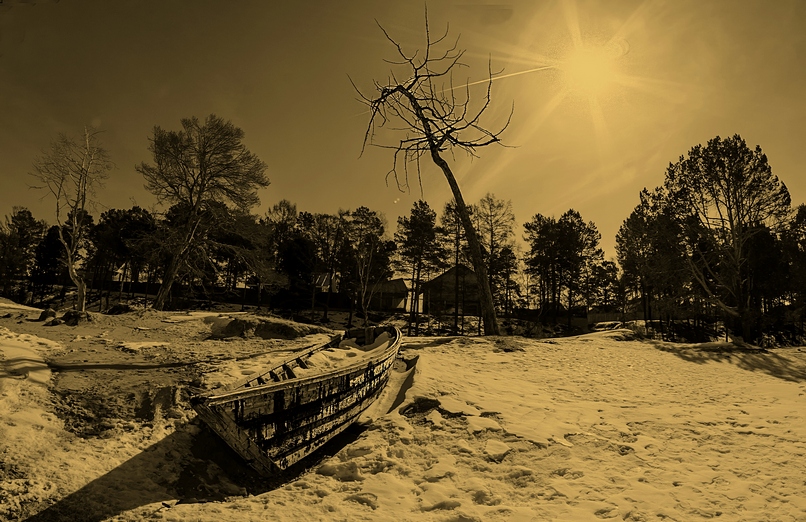 �� ������