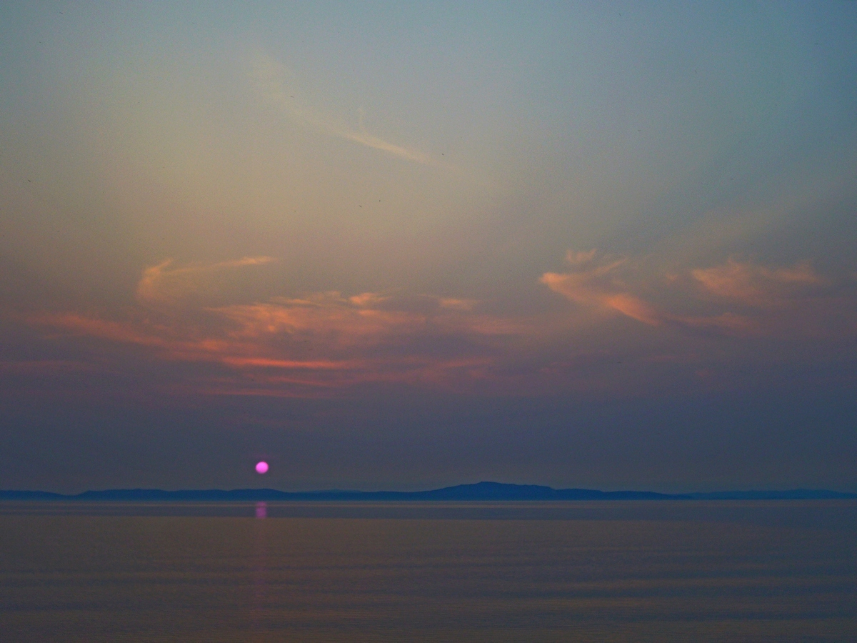 ���������.