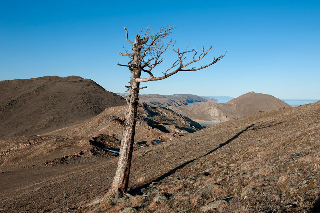 ����� ������� �� �����