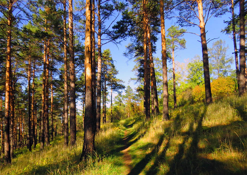 �������� � ����� �� �����