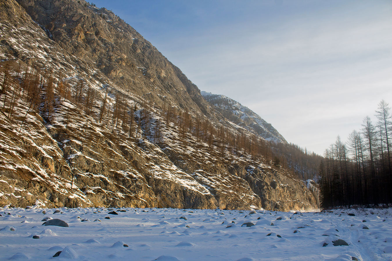 ����� �����