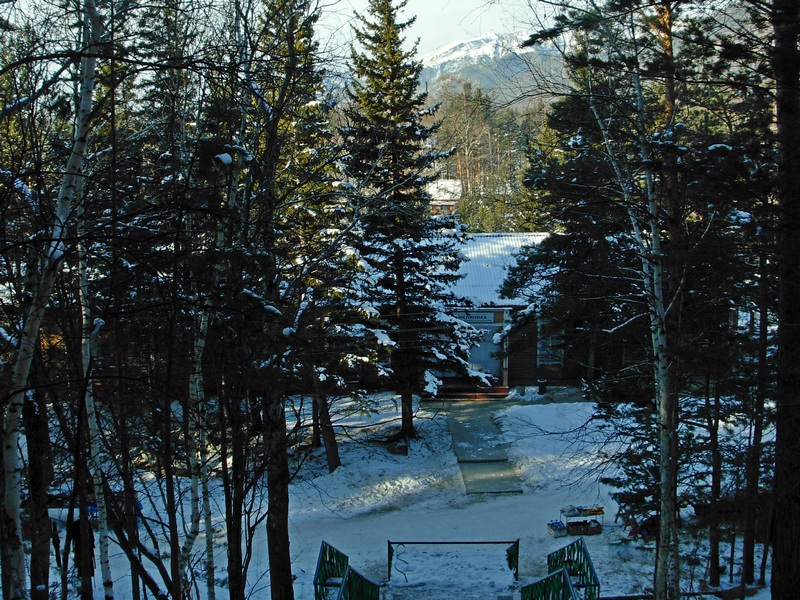 � ����������