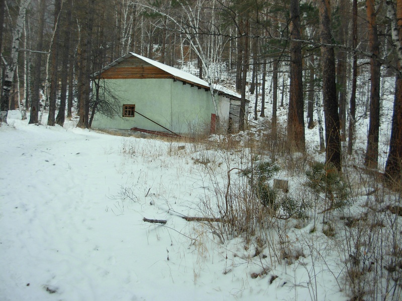 ����� �������� ����