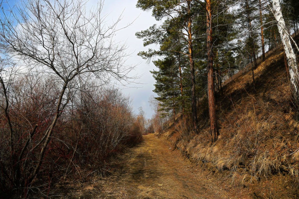 �������� ��� �����