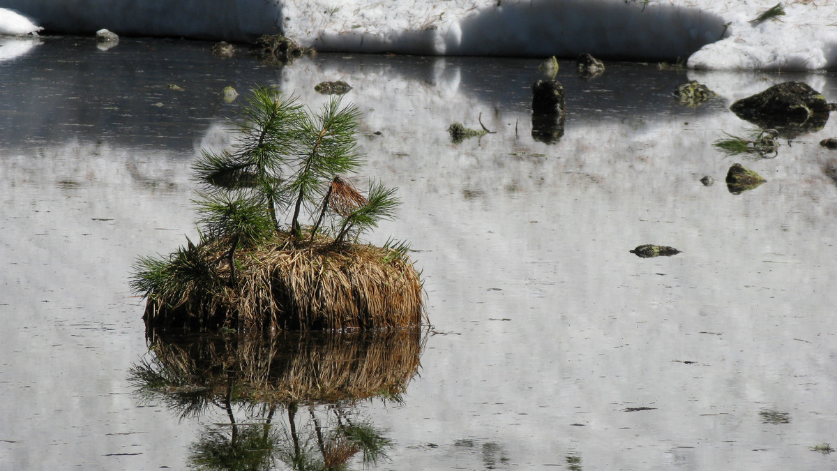 ����������� ������