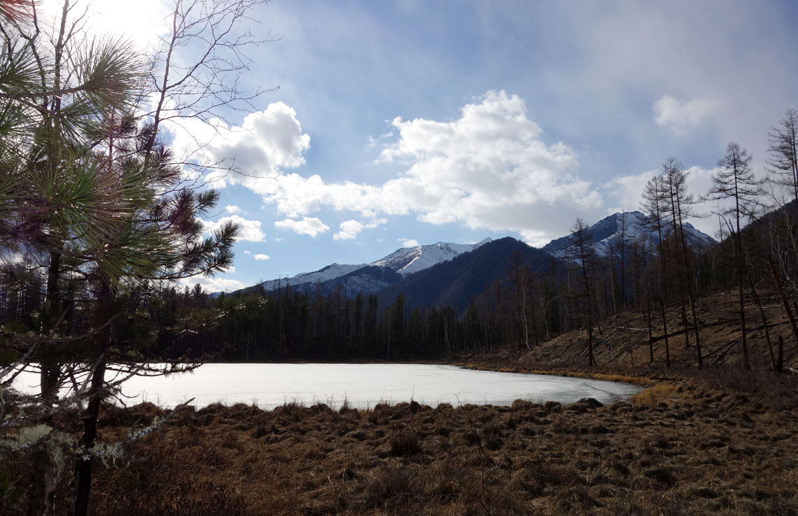 ����� � ����