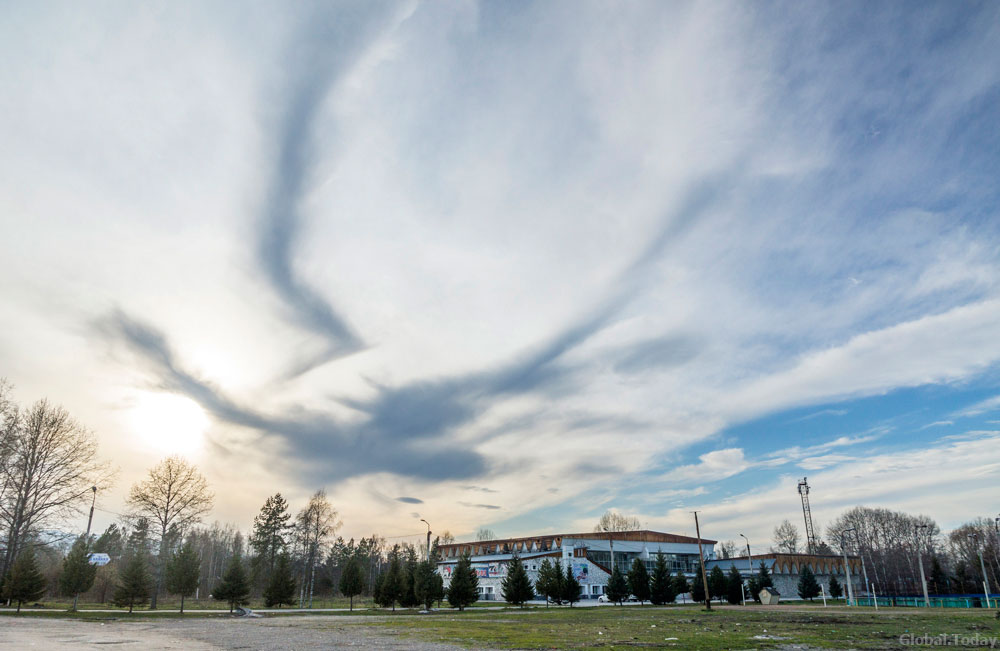 ��� �����������