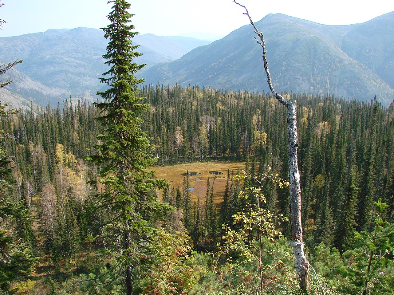 �������� ��� ��������