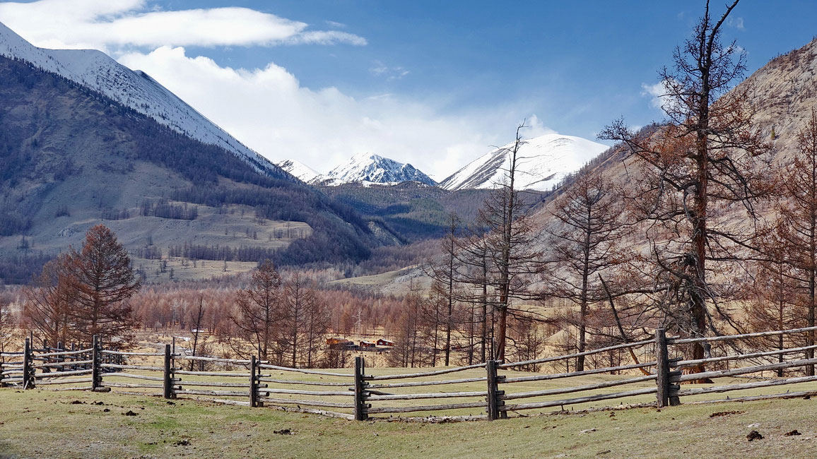 ��� �� ������ �. �����