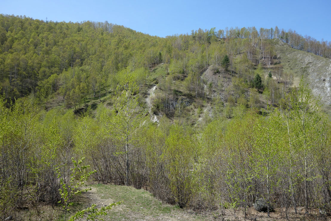 ��� �� ������ �3