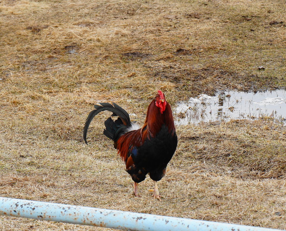 ���� ��� ����� ��������?