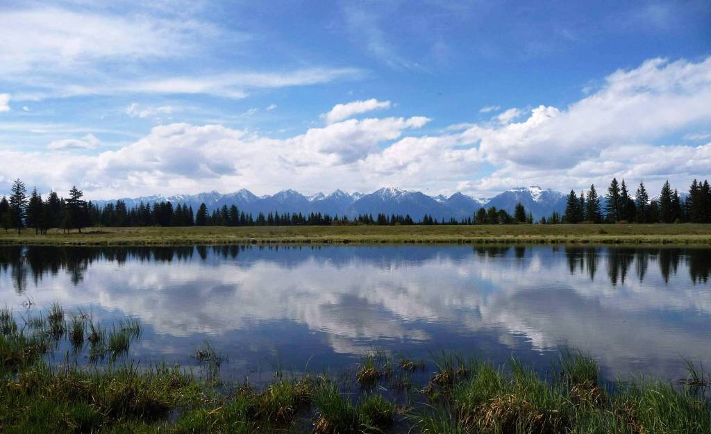 ���������� ������ �� ���������� ������