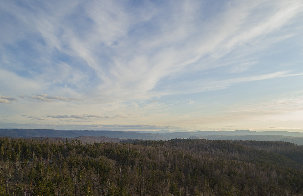 ��������� ���������