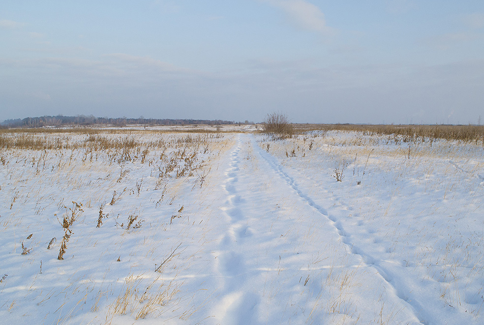 ������ ������