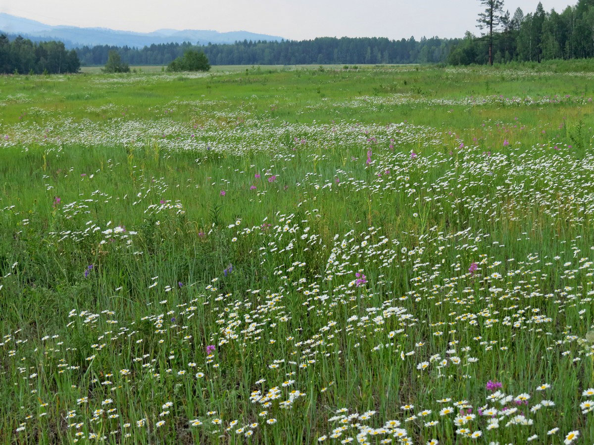 ���������� �����