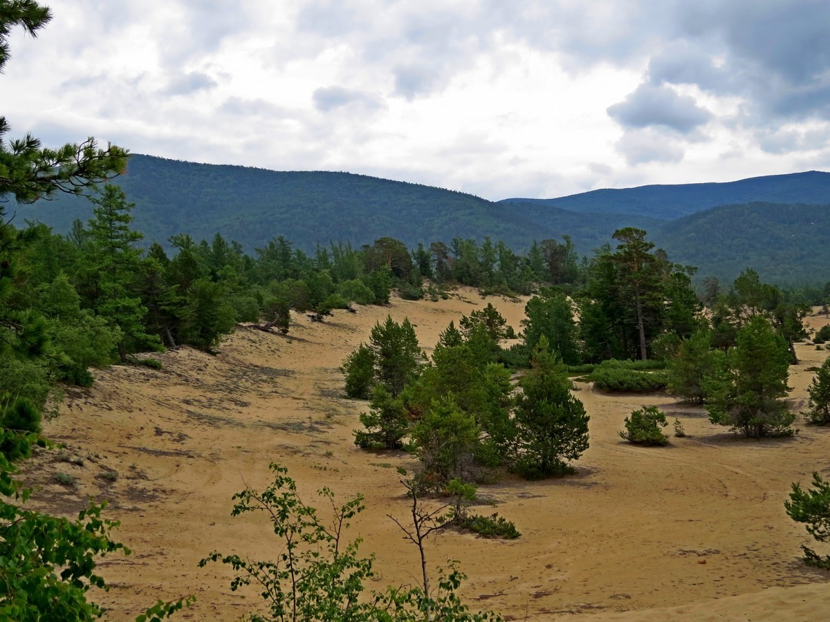 �� �����