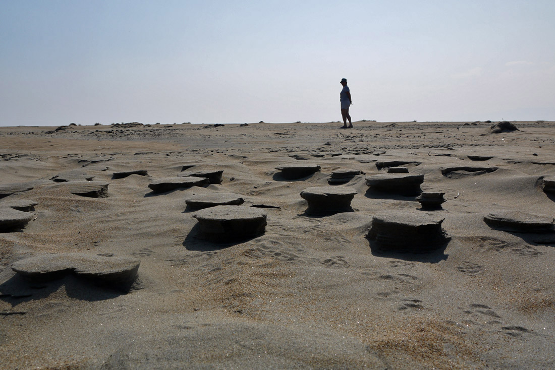 �� ��������� �������