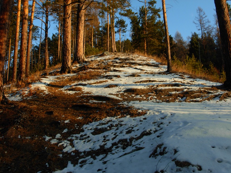 � ����� ������ �����