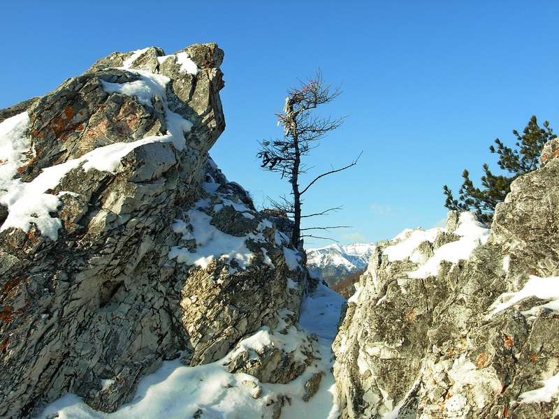 ������ ���� �� ������