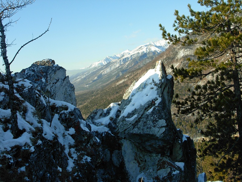 ��� ��� �����