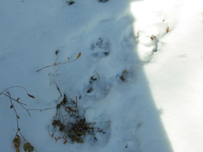 ��� ���� �� �����? ����� ����� � ����� ��������� ��� � ���������