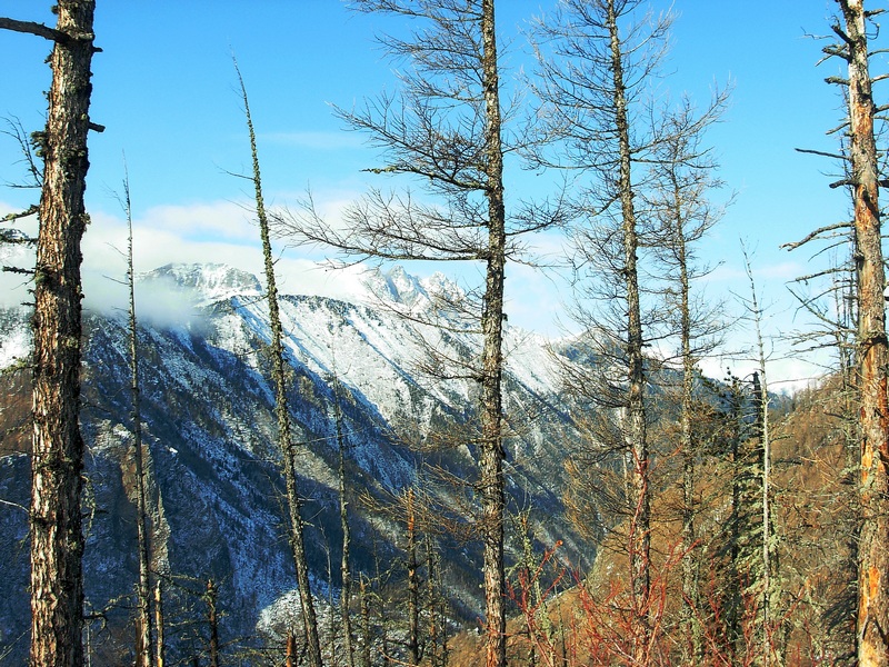 ����� ����������