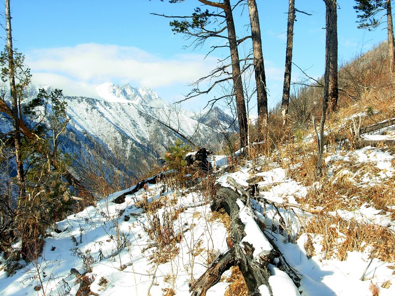 ��� ���� ����������