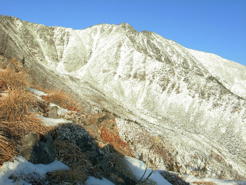 ��� ������