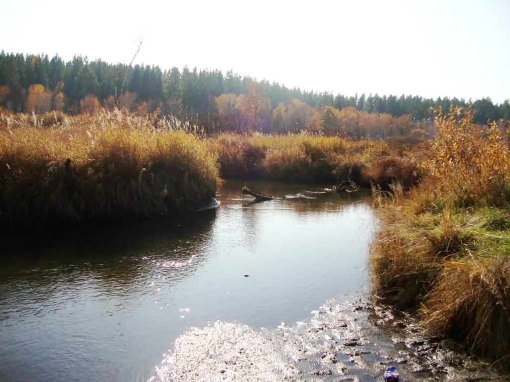 � � �� ����� �� ����������, �� ���������