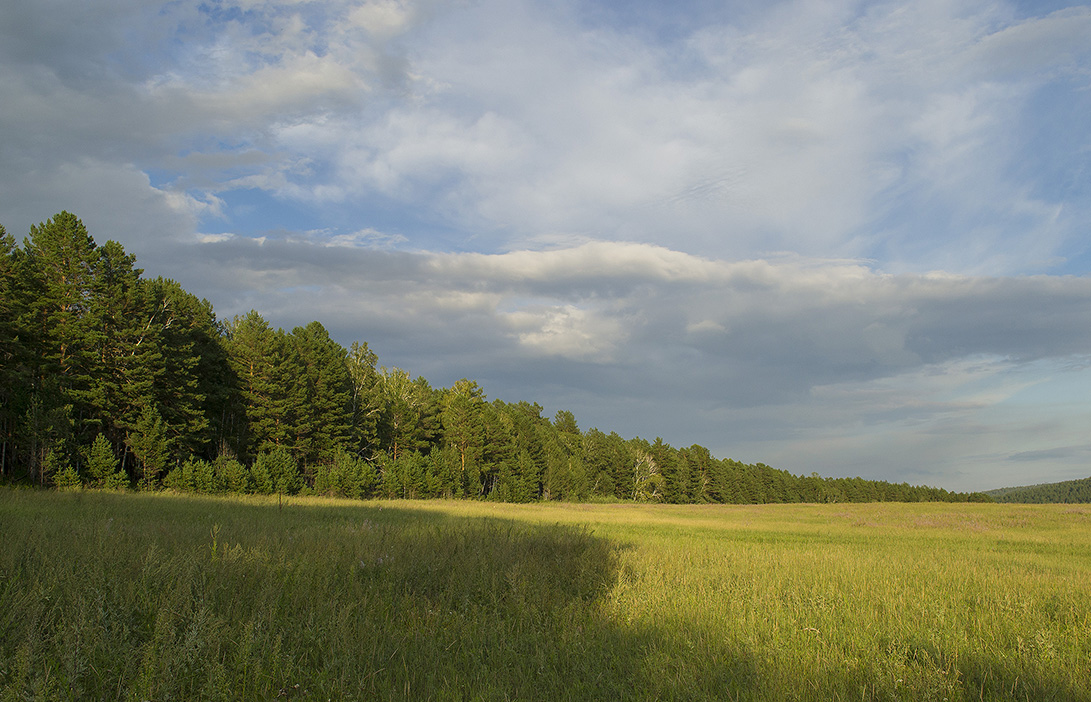 � ����������� 28-��� �� ����������� ������