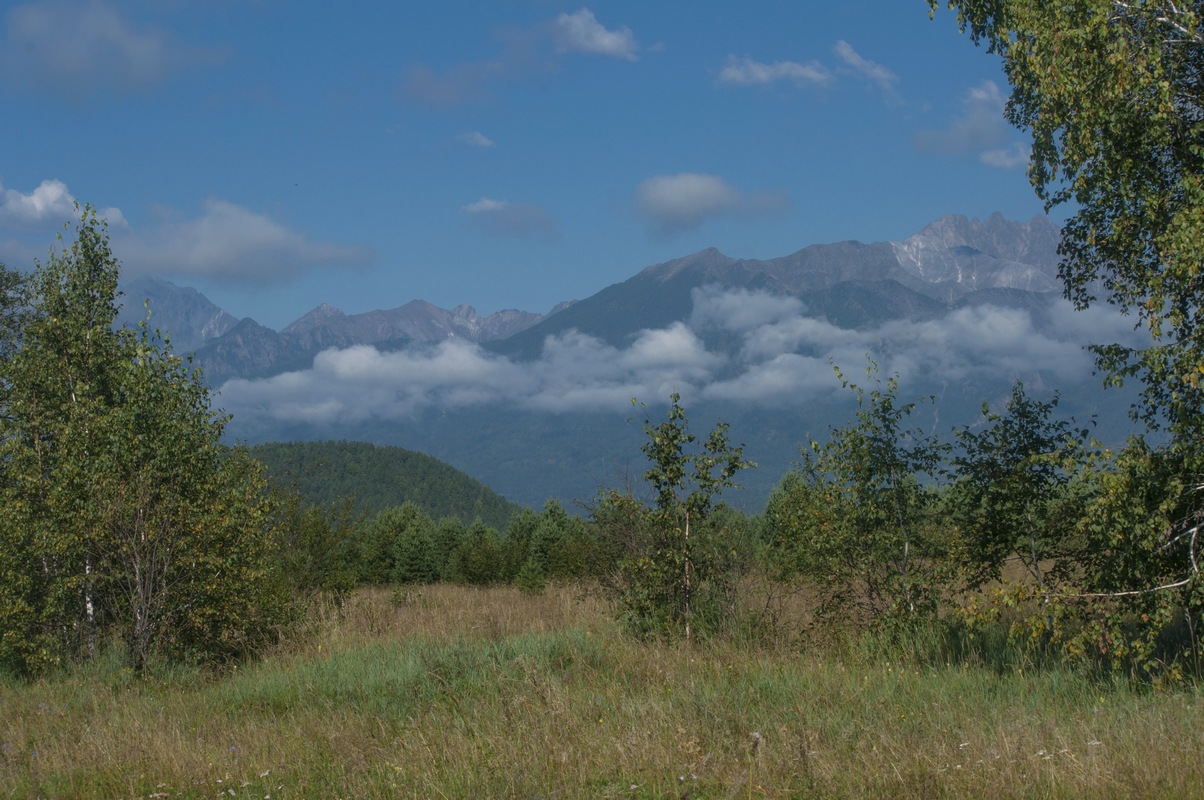 �������� ����������