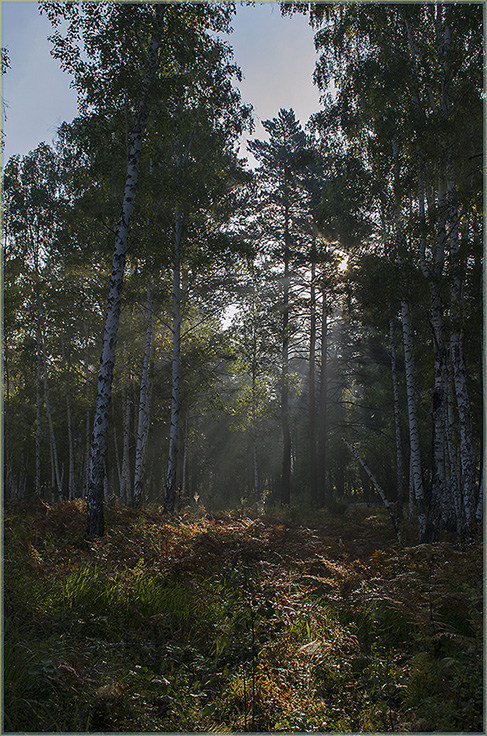 �������� �����