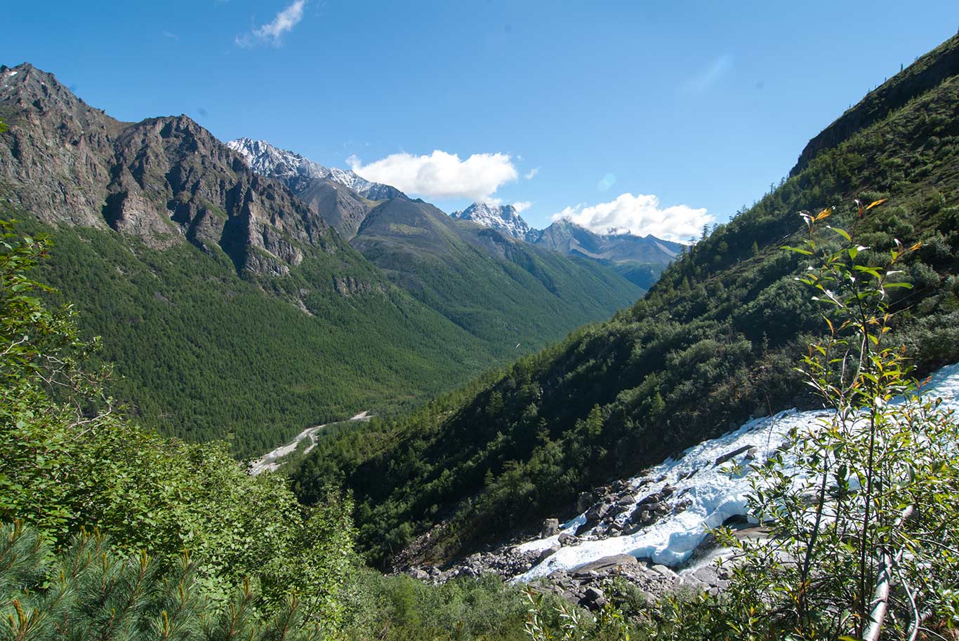 ��� �.��������� ����� ��������� �������