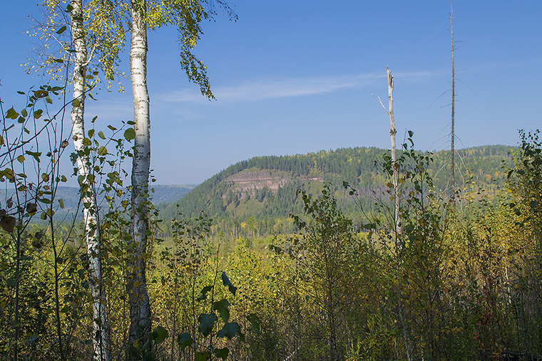 � ������������ ����������� "���������"