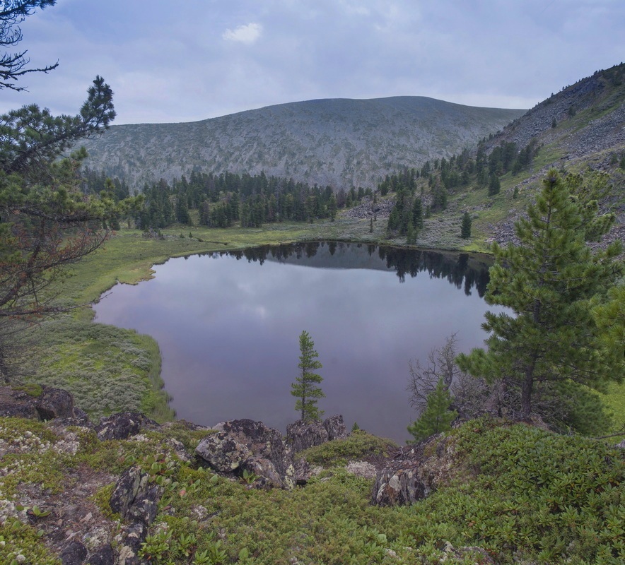 "����������" �����