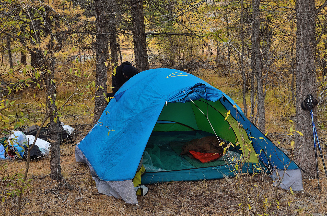 ��� ������ �������� �� ��������