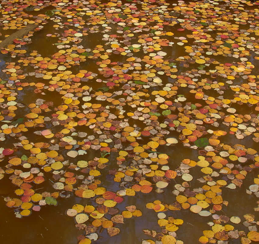 ������ �� ������������