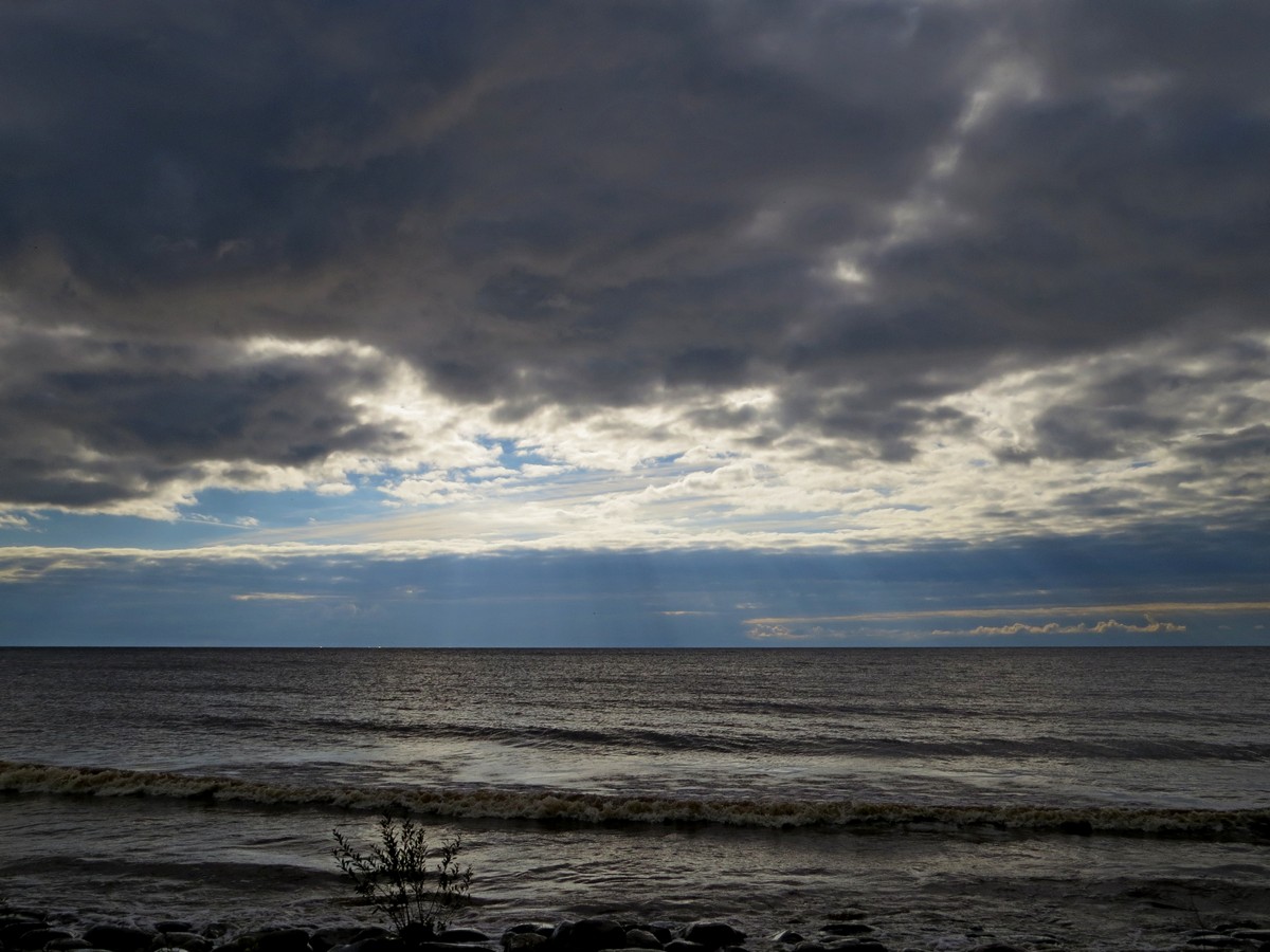 ����� ������