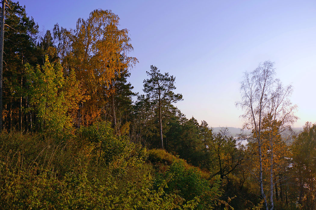 ����� ��������