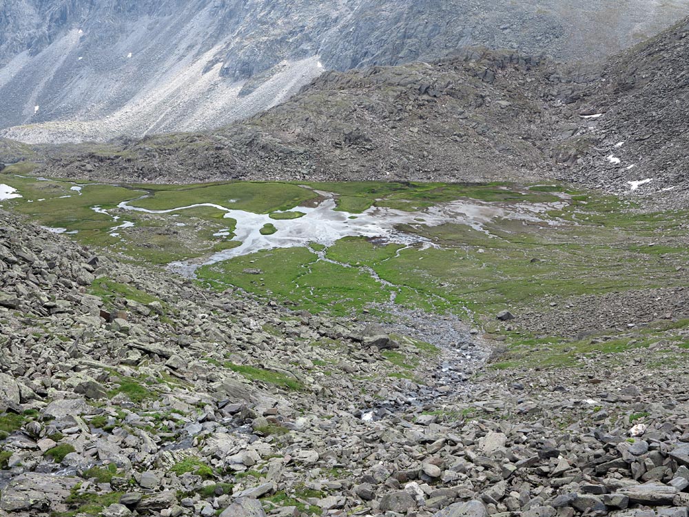 ������ ����� ������������ � ���������