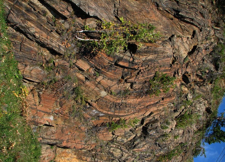 �������� ��������