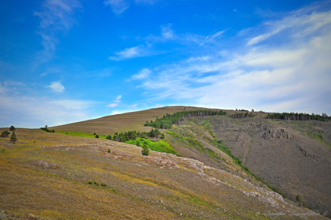 ������ 817.0