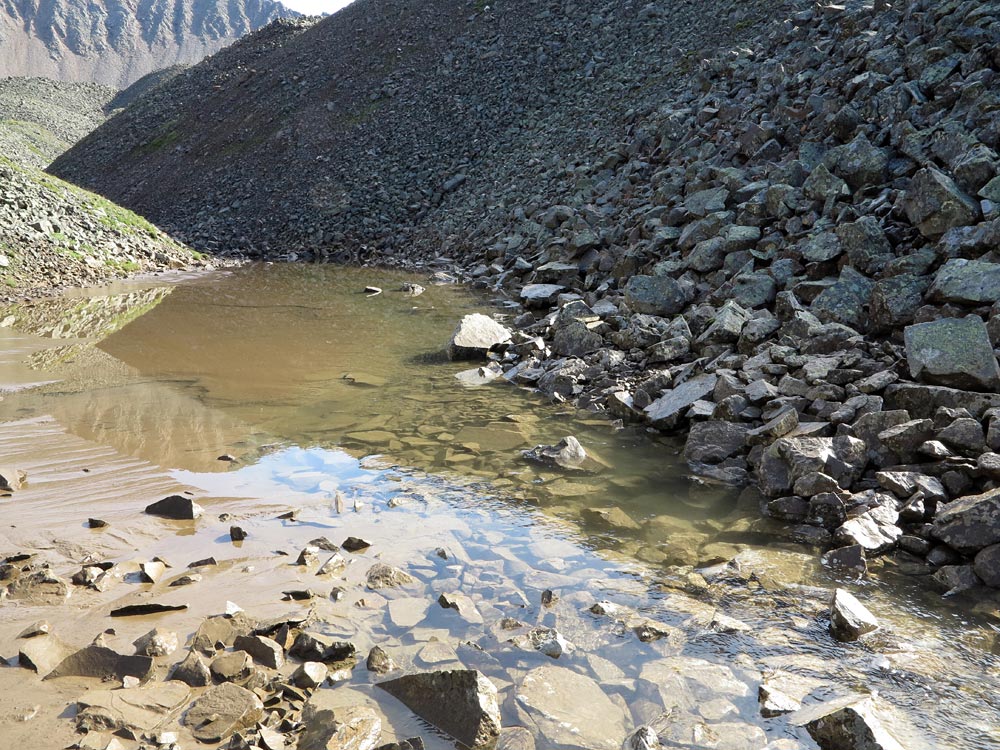 �������� �����