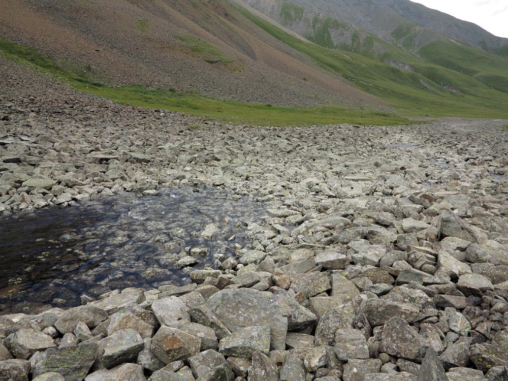 ������������ ����