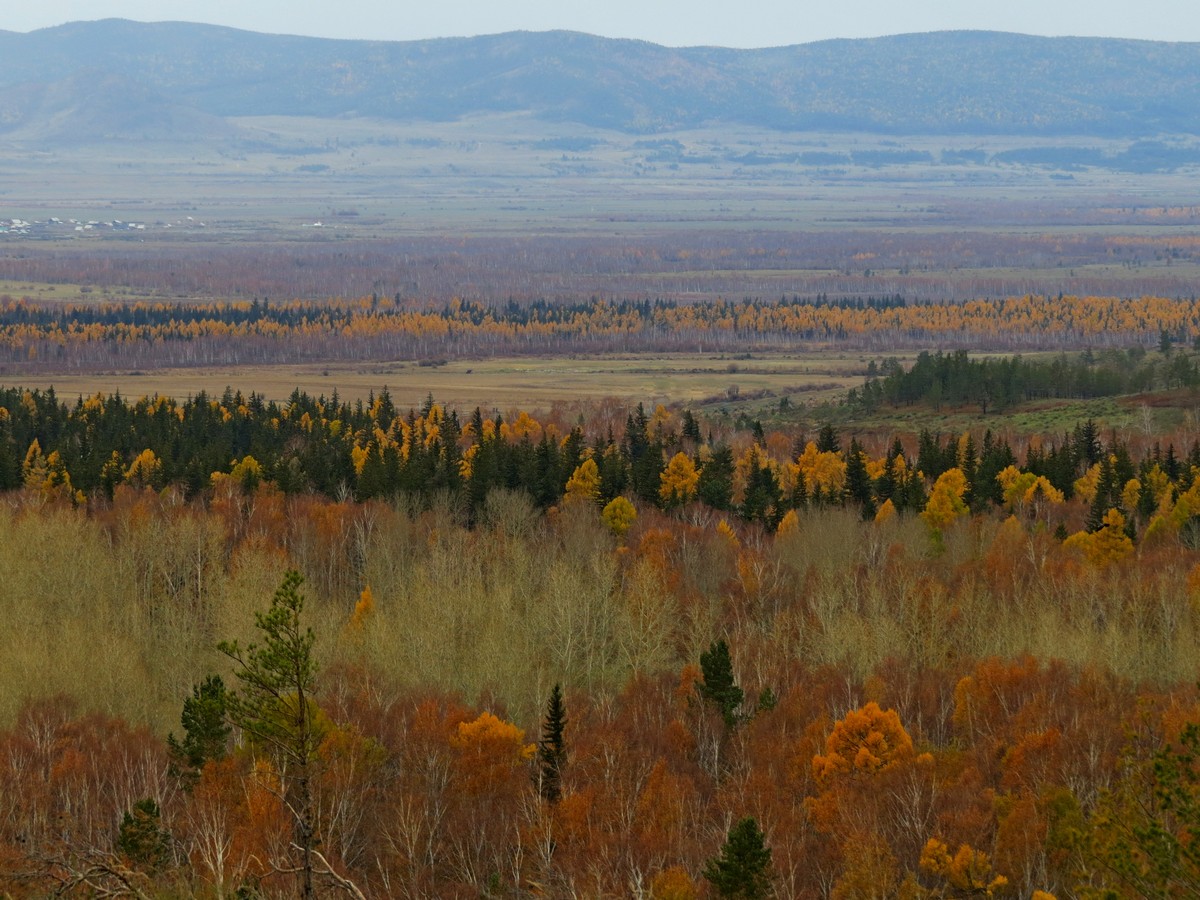 �� ��������� �����-������ �� ����������� ������