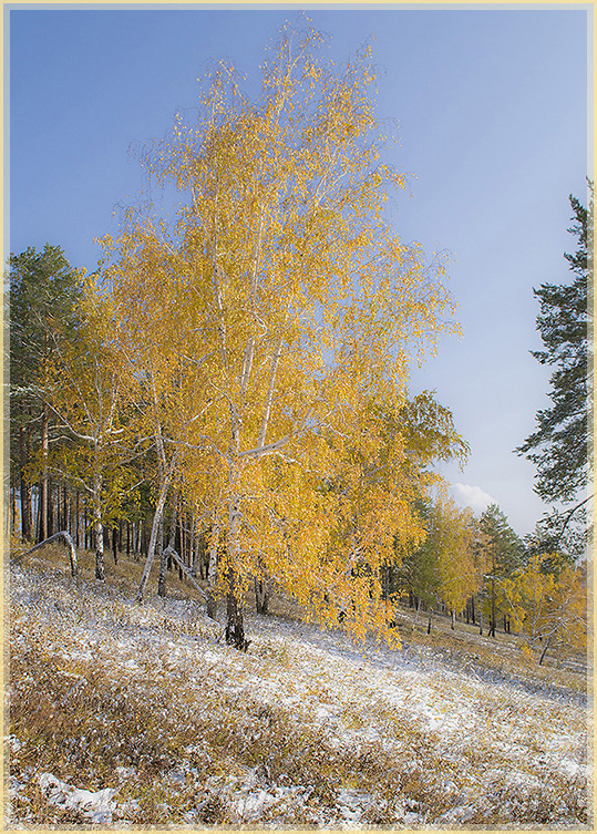 ������� �����